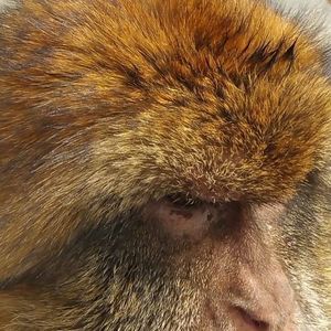 Meet your Posher, Debi